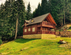 Triangle Woodhouse, Plav